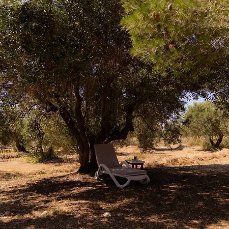 דירה Anchor *