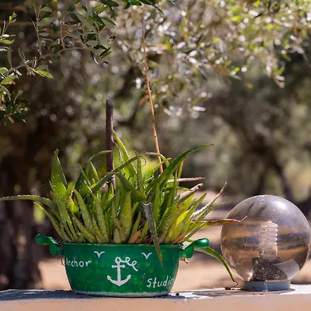 Apartamento Anchor