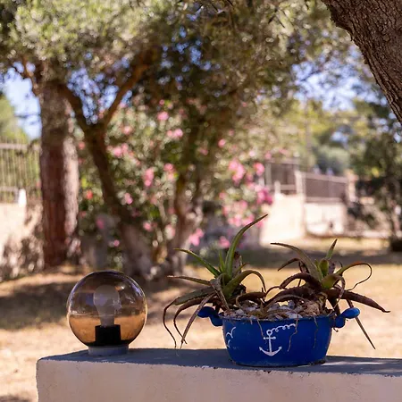 Apartamento Anchor Lixúri