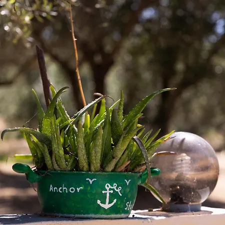 דירה Anchor *